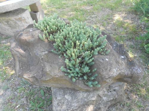Apartamento I Due Frassini