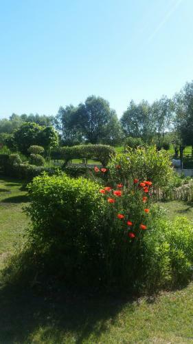 Hostal Lazy Days