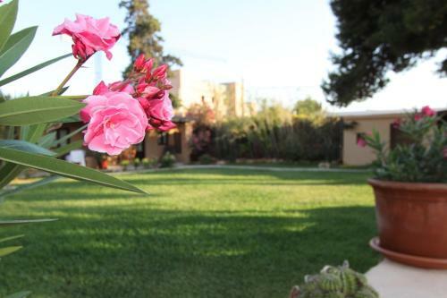 Agroturismo Finca Can Toni