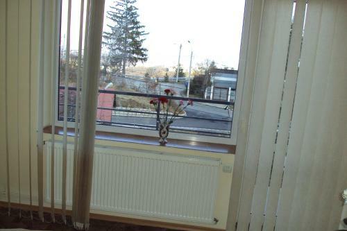 Hostal Pensiunea Warthe
