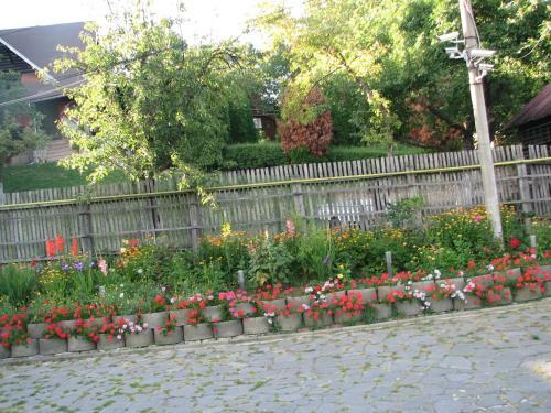 Hostal Pensiunea Warthe