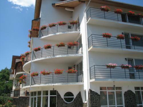 Hostal Pensiunea Warthe