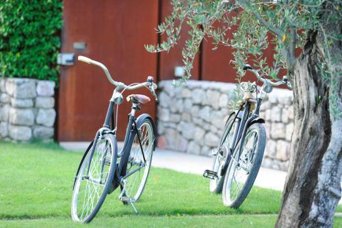 Hostal Vivere Suites & Rooms
