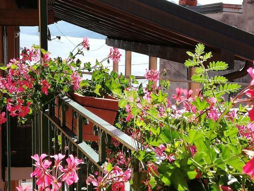 Bed & Breakfast Campino