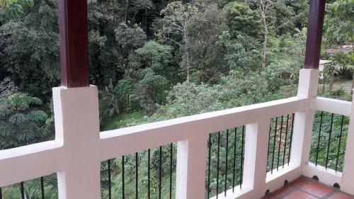 Rio Magnolia Nature Lodge