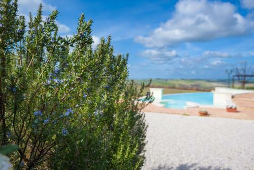 Hostal Agriturismo Il Macchione