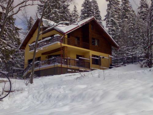 Villa Vila Piscul Ursului