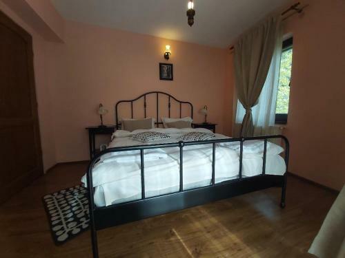 Villa Vila Piscul Ursului