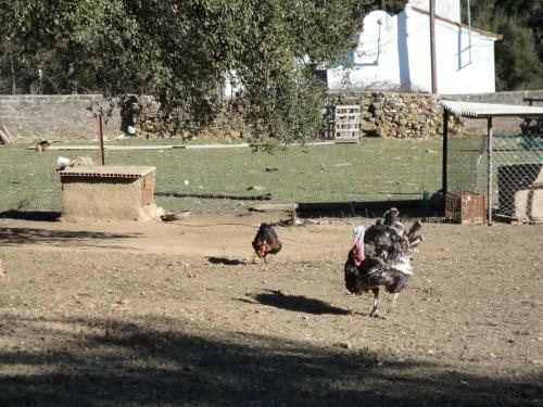 Agroturismo Casa Rural Sierra San Mamede