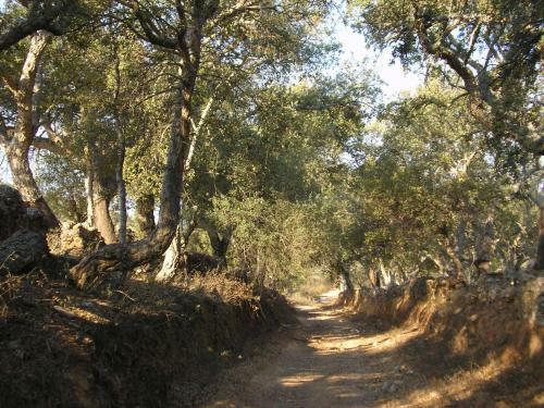 Agroturismo Casa Rural Sierra San Mamede
