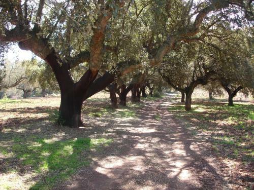 Agroturismo Casa Rural Sierra San Mamede