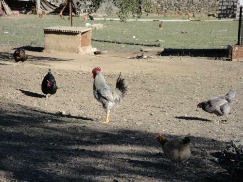 Agroturismo Casa Rural Sierra San Mamede