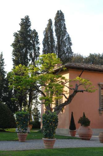 Hotel Villa Mangiacane
