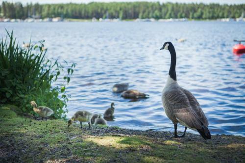 Finlandia Hotel Imatran Kylpyl� Spa