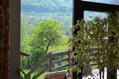 Hostal Inspire View