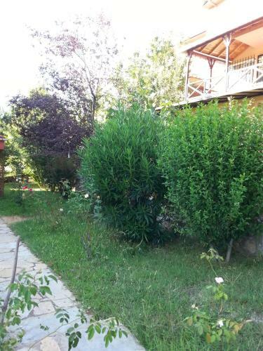 Hostal Villa Orkide