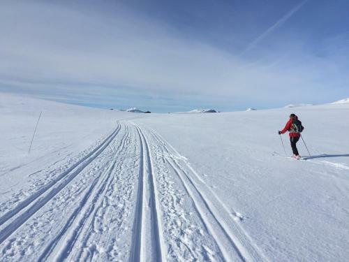 Rondane Spa Hotel Og Hytter