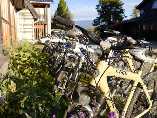 Rondane Spa Hotel Og Hytter