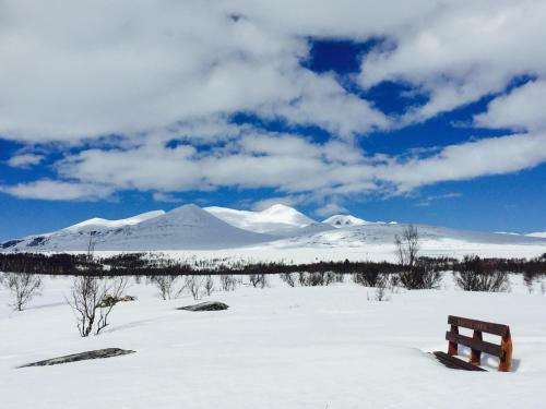 Rondane Spa Hotel Og Hytter