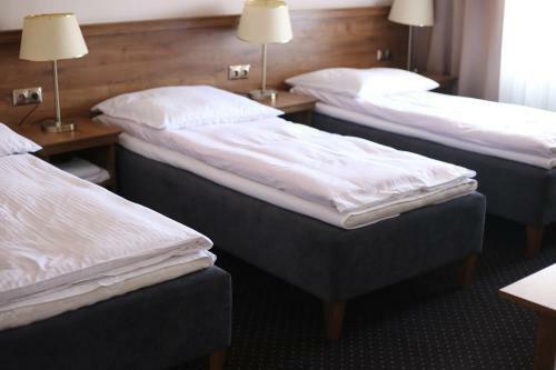 Hotel Pod R�?ami