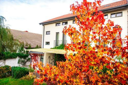 Hostal May Art Residence