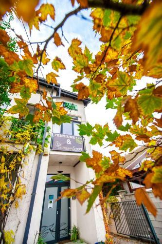 Hostal May Art Residence