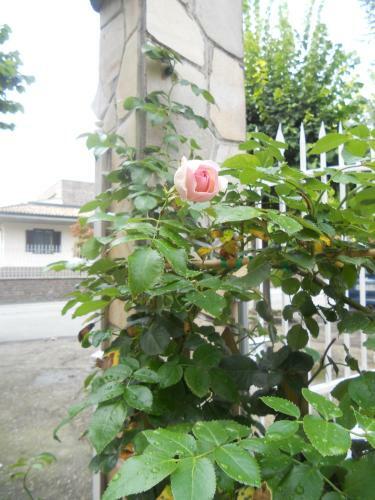 Bed & Breakfast Beb Villa Aurora