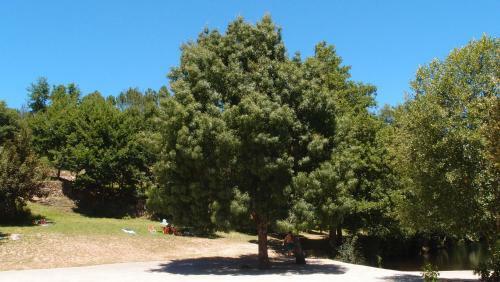 Agroturismo Aldeia Do Code�al