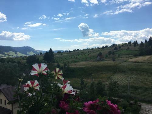 Hostal Pension Valentina