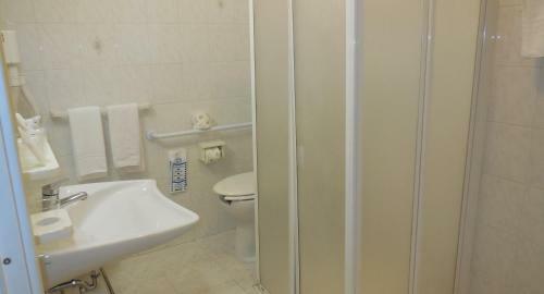 Hotel Albergo Arena