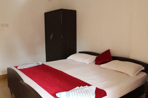 Hostal Macedo Palms Lemonmint