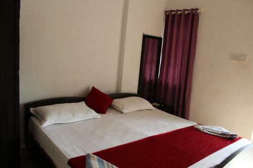 Hostal Macedo Palms Lemonmint
