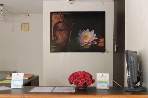 Hostal Macedo Palms Lemonmint