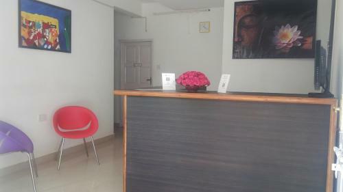 Hostal Macedo Palms Lemonmint