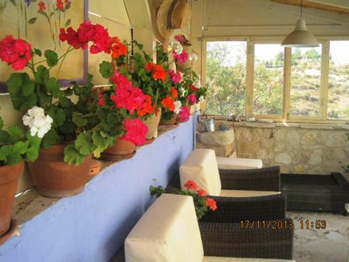 Agroturismo Oinochori