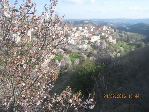 Agroturismo Oinochori
