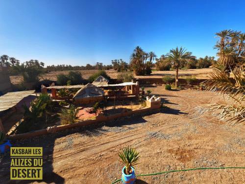 Bed & Breakfast Kasbah Les Alizes Du Desert