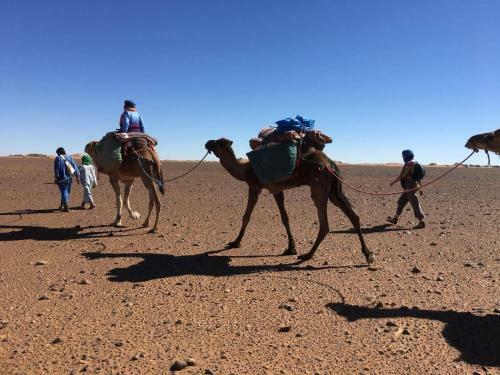 Bed & Breakfast Kasbah Les Alizes Du Desert
