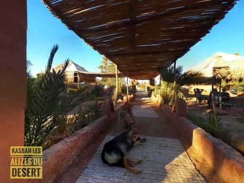 Bed & Breakfast Kasbah Les Alizes Du Desert