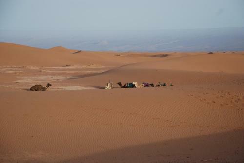 Bed & Breakfast Kasbah Les Alizes Du Desert