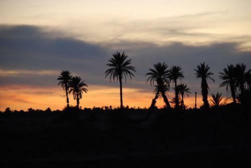 Bed & Breakfast Kasbah Les Alizes Du Desert