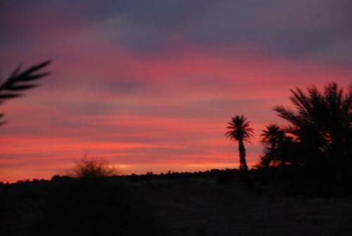 Bed & Breakfast Kasbah Les Alizes Du Desert