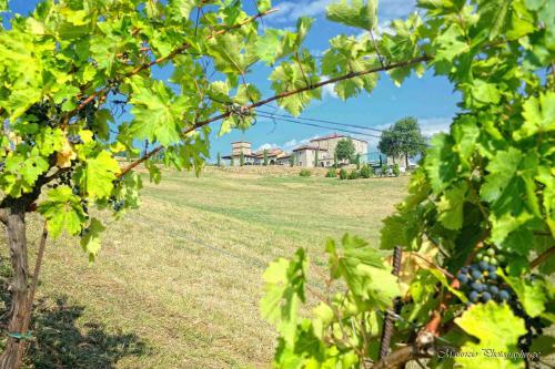 Agroturismo Relais La Colombara Spa & Wellness
