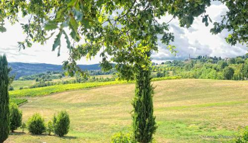 Agroturismo Relais La Colombara Spa & Wellness