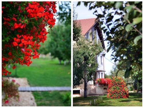 Hostal Guesthouse Stupina