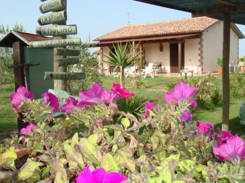 Agroturismo Agriturismo Il Rustico