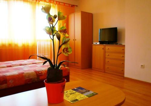 Hostal Penzion Fortuna Dudince