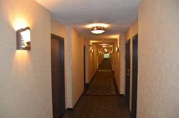 Hotel Holiday Inn Express & Suites Donegal