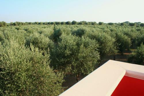 Hostal Agriturismo La Crianza