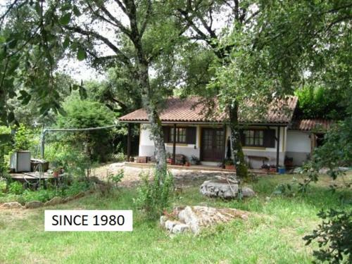 Guesthouse D Nuno